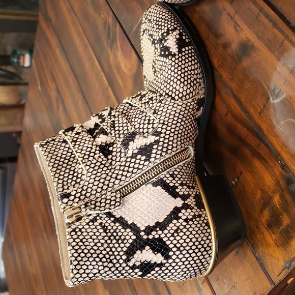 Chloe Snakeskin Ankle Boots with Gold Buckles - Picture 8 of 16